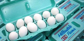 The Impact of America’s Anti-Price-Gouging Laws on Capitalism news-23082024-104631