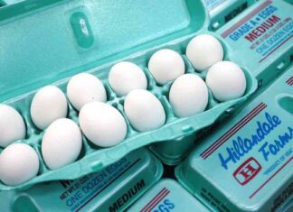 The Impact of America’s Anti-Price-Gouging Laws on Capitalism news-23082024-104631