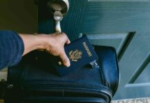 What Happens When the IRS Revokes Your Passport for Unpaid Taxes news-25082024-225408