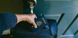 What Happens When the IRS Revokes Your Passport for Unpaid Taxes news-25082024-225408