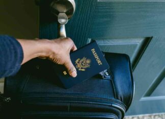 What Happens When the IRS Revokes Your Passport for Unpaid Taxes news-25082024-225408