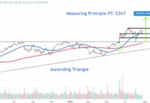 Key Apple Stock Price Levels to Monitor Before iPhone 16 Launch news-27082024-110720