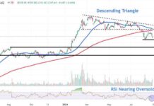 Monitoring Super Micro Computer Stock Price Levels During Recent Downturn news-28082024-110918