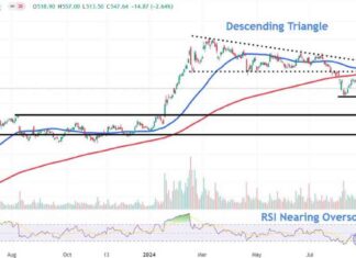 Monitoring Super Micro Computer Stock Price Levels During Recent Downturn news-28082024-110918