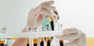 The Hypocrisy of the Plasma Industry: Unveiling the Truth news-29082024-232137