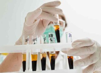 The Hypocrisy of the Plasma Industry: Unveiling the Truth news-29082024-232137