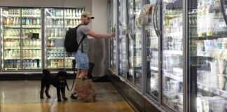 July Inflation Report: The Fed’s Favorite Indicator Up by 0.2% news-30082024-232433