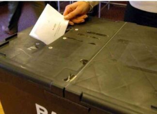 Germany’s AfD Far-Right Party Poised to Win State Election news-01092024-232751