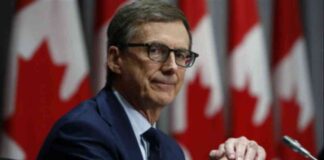 Weekly Market Forecast: 2nd – 6th September | Forexlive news-02092024-112918