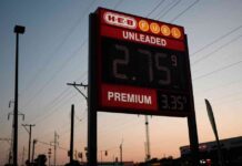 Fed’s Impact on Commodity Prices: Analysis and Forecast news-02092024-233326