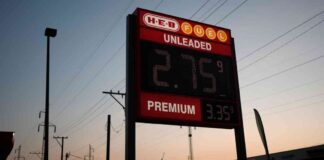 Fed’s Impact on Commodity Prices: Analysis and Forecast news-02092024-233326