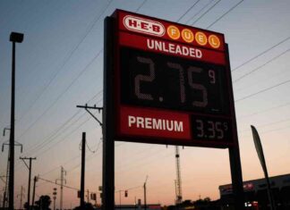 Fed’s Impact on Commodity Prices: Analysis and Forecast news-02092024-233326