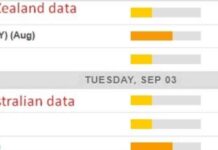 Asian Economic Calendar: Australian GDP Input for September 3, 2024 news-02092024-233355