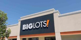 Uncovering Big Lots’ Business Model Challenges Through Bankruptcy Filing news-10092024-010041