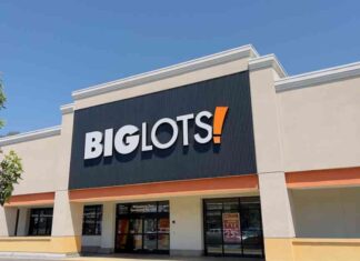 Uncovering Big Lots’ Business Model Challenges Through Bankruptcy Filing news-10092024-010041