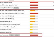 ECB to Consider Rate Cut at September 12 Meeting amid Weakening Outlook | Forexlive news-10092024-035305