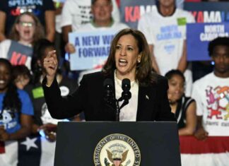 Harris Raises $47 Million in Record-Breaking 24-Hour Fundraising Effort news-13092024-004513