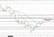 Crude Oil Futures Settle at $68.65: Market Update and Analysis news-15092024-051238