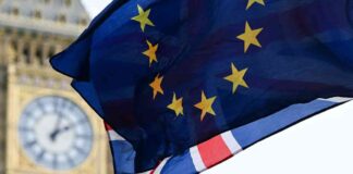 Effectiveness of EU Tariffs on Chinese Automakers: A Critical Analysis news-16092024-052955