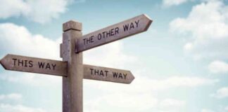 Navigating the Forex Market: Soft-Landing Strategies Explained news-17092024-015819