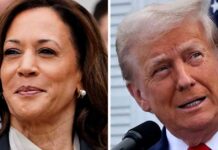 Harris Victory Predicted as Most Likely Election Outcome by CNBC Fed Survey news-18092024-073357