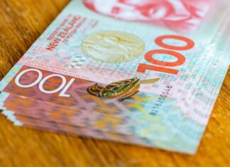 NZDUSD Dominates Ahead of FOMC Rate Decision – Action Forex news-18092024-194640