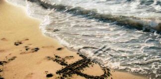 Forex Market Update: Dollar Holds Steady, Yen Weakens, Sterling Strengthens news-21092024-203730