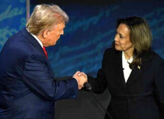 Harris Outraises Trump 4x in Final Election Fundraising news-22092024-004313