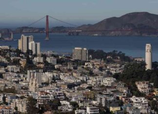 Top AI Winners Revealed: Insights from my San Francisco Trip news-23092024-050008