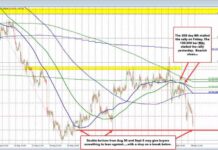 USDCAD Drops to September 6 Low | Forexlive news-24092024-182850