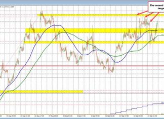 USD Weakness Persists: Latest Forex Analysis | Forexlive news-24092024-230035