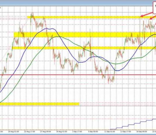 USD Weakness Persists: Latest Forex Analysis | Forexlive news-24092024-230035
