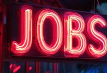 Key Focus: Fed’s Kugler Guidance on Non Farm PayrollsNew Title: Federal Reserve’s Kugler Provides Insights on Non Farm Payrolls Data | Forexlive news-26092024-001314