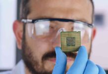 Chip Stocks Surge on Micron’s 15% Rally; ASML Gains 4% news-26092024-125654