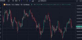 Bitcoin vs Gold: Standard Chartered’s Analysis on Safe Haven Assets news-04102024-055337