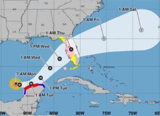 Milton Forecasted to Strengthen to Category 5 Hurricane | Forexlive news-07102024-154024