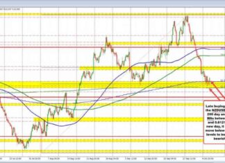 Forexlive Americas FX News Wrap: Major Currency Pairs Following Technicals – 8 Oct news-09102024-001427
