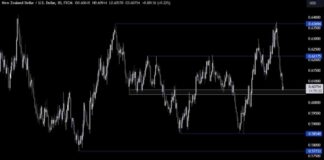 NZDUSD Technical Analysis: Greenback Support Ahead of US CPI news-10102024-124424