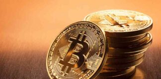 Crypto Market Trends: Impact of American and Asian Markets on Cryptocurrency Trading – Action Forex news-11102024-124830