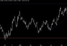 EURUSD Technical Analysis: Market Needs More for USD Gains | Forexlive news-11102024-124901