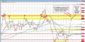 USDCAD Surges After Strong Jobs Report: Buyers Regain Control news-11102024-185053