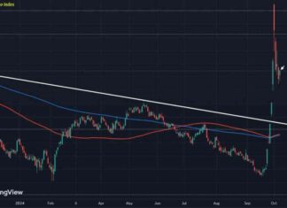 Hope for Chinese Equities: Current Outlook and Future Prospects news-14102024-075543
