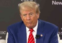 New Title: The Impact of Tariffs on Forex Trading | Forexlive news-15102024-200705