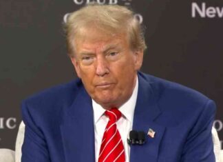 New Title: The Impact of Tariffs on Forex Trading | Forexlive news-15102024-200705