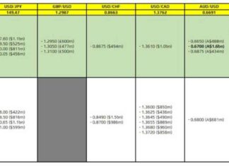 FX Option Expiries for 17 October 10am NY Cut | Forex Live Trading news-17102024-083157