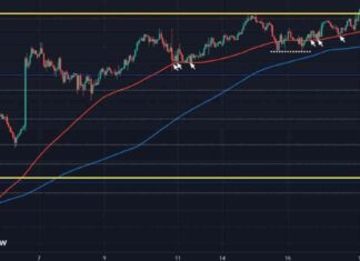 USD/JPY Price Drops Today But Buyers Maintain Control | Forexlive Trading Analysis news-18102024-145339
