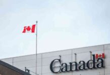 BoC Rate Cuts Accelerate, Flash PMIs Key for Growth – Action Forex news-19102024-025446