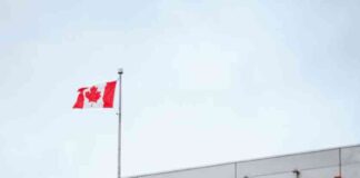 BoC Rate Cuts Accelerate, Flash PMIs Key for Growth – Action Forex news-19102024-025446