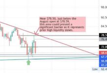 Crude Oil Futures Weekly Forecast: Bears Target $67.75 | Forexlive news-20102024-210349