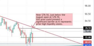 Crude Oil Futures Weekly Forecast: Bears Target $67.75 | Forexlive news-20102024-210349